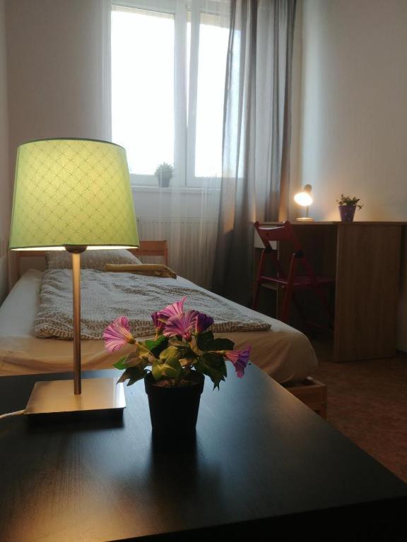Apartamento Near Main Railway And Bus Station Brno Exterior foto